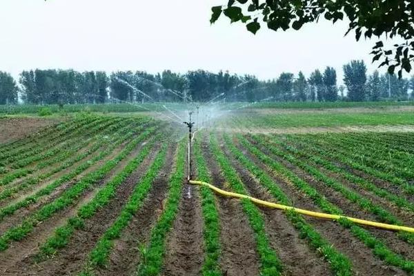 我国农业用水量占比最大吗，农业用水包括哪些