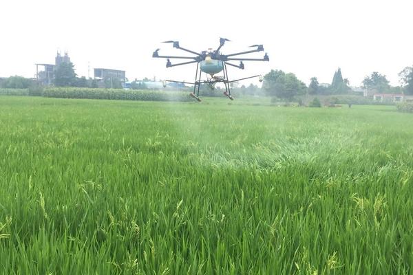 吡唑醚菌酯防治小麦什么病害,吡唑醚菌酯不能和什么药混用