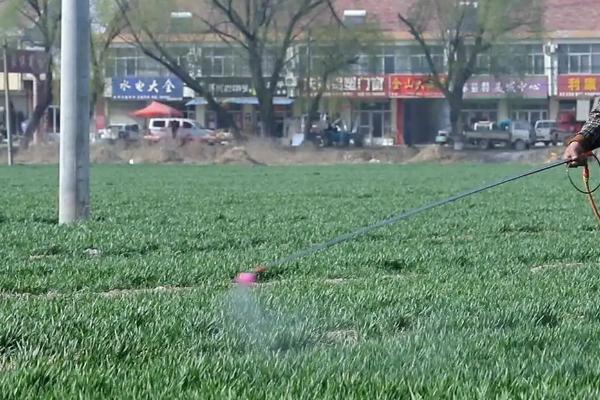 吡唑醚菌酯防治小麦什么病害,吡唑醚菌酯不能和什么药混用