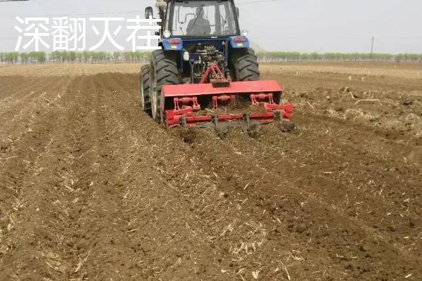 小麦细菌性叶枯病防治,附发病原因