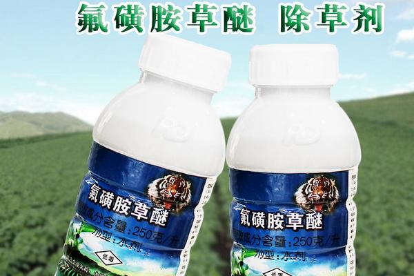 氟磺胺草醚除草剂除草范围,对玉米有影响吗