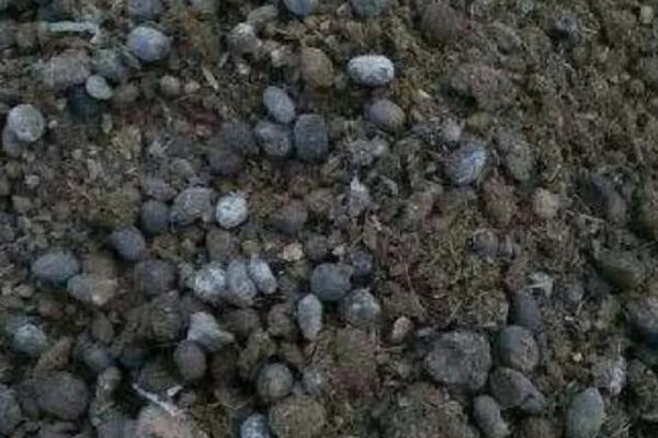 兔粪的用途与价值,兔粪如何发酵