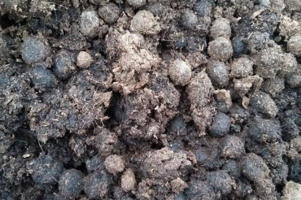 兔粪的用途与价值,兔粪如何发酵