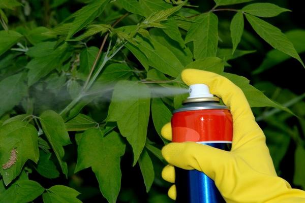 阿维菌素类杀虫剂，杀虫剂对人体有害吗