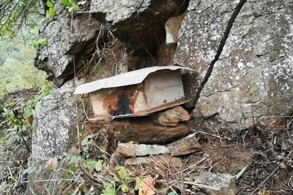 如何诱蜜蜂进蜂箱，几月份诱蜂合适