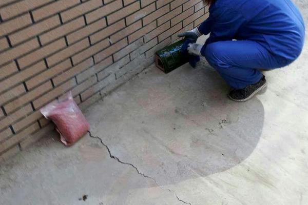 老鼠药怎么放老鼠才吃，老鼠药的保质期有多长