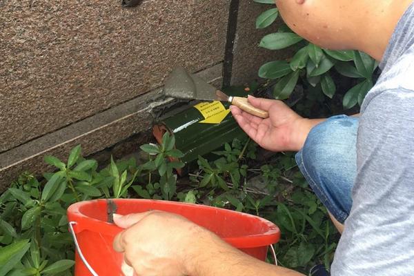 老鼠药怎么放老鼠才吃，老鼠药的保质期有多长