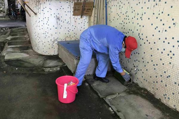 老鼠药怎么放老鼠才吃，老鼠药的保质期有多长