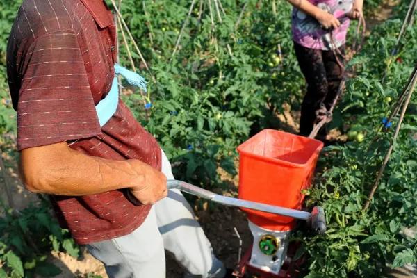 尿素浇菜最佳方法,尿素属于什么肥料