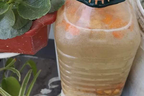 黄豆沤肥的做法，可以用于什么作物