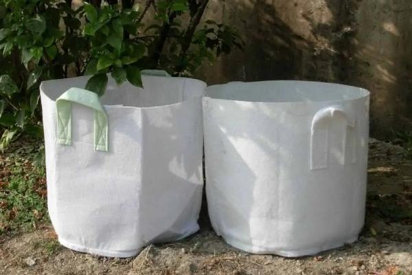 无纺布种植袋使用寿命,怎样检测无纺布种植袋有没有毒