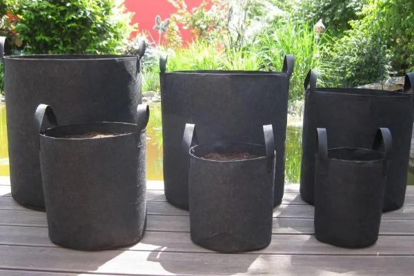 无纺布种植袋使用寿命,怎样检测无纺布种植袋有没有毒