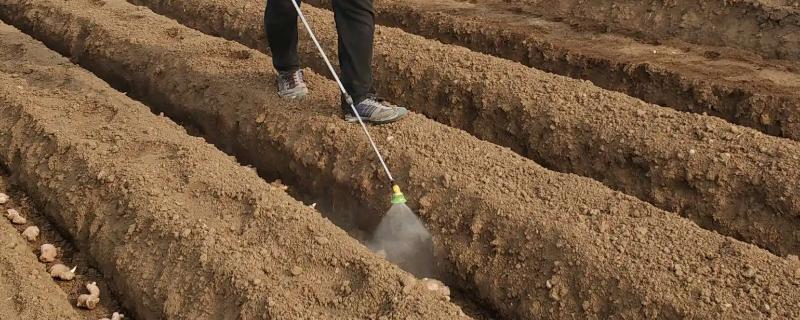 除草剂对土壤的危害有哪些方面，除草剂的残留期有多长