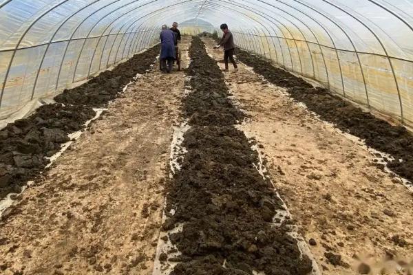 什么叫空中养殖，空中养殖有哪些项目