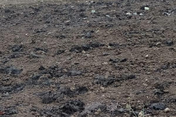 有机肥料的主体是什么,有机肥料的特点