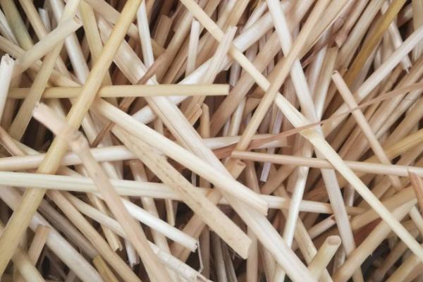 有机肥料的主体是什么,有机肥料的特点