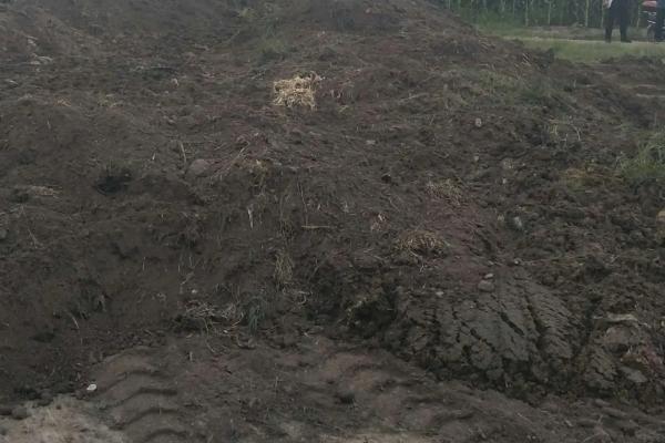 有机肥料的主体是什么,有机肥料的特点