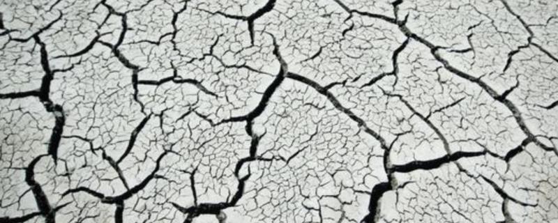 施用哪种氮肥土壤板结,氮肥对植物的作用