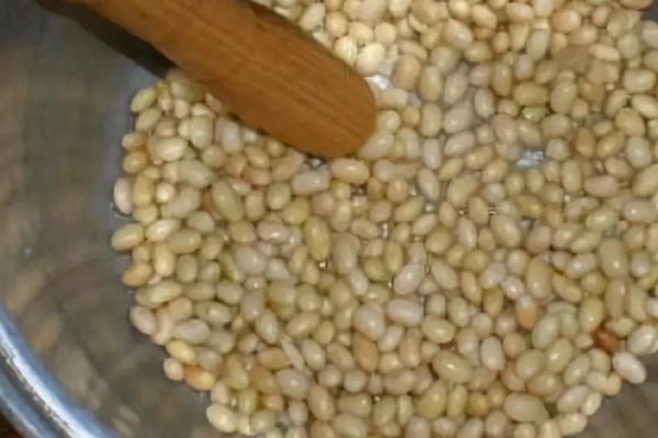 大豆肥料发酵最简单方法,黄豆发酵后会产生什么菌