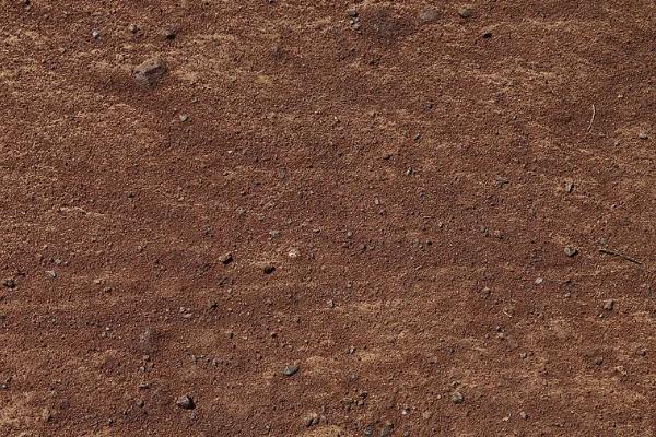 塑料桶养泥鳅技术