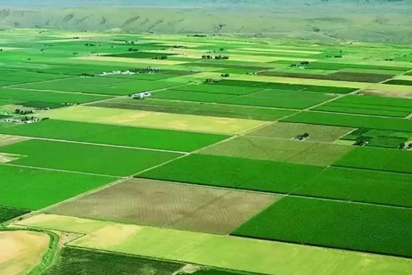 基本农田种植范围,基本农田可以搞养殖吗