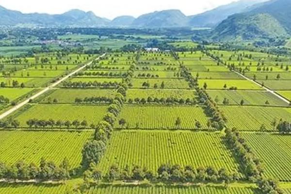 基本农田种植范围,基本农田可以搞养殖吗