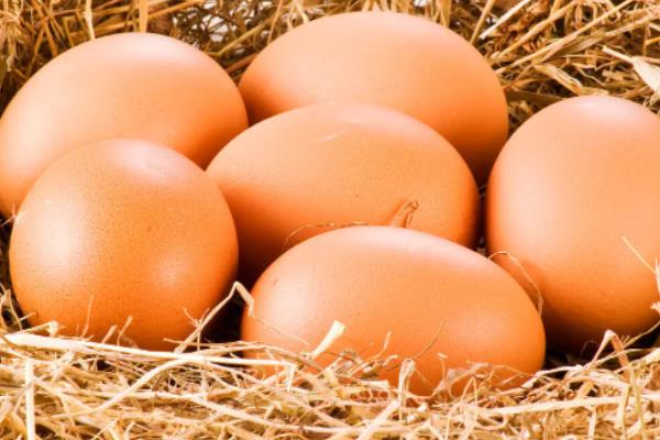 只有母鸡没有公鸡能下蛋吗，母鸡每天都会下蛋吗