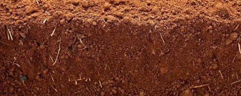 土壤活化剂可以替代肥料吗，土壤活化剂的使用方法