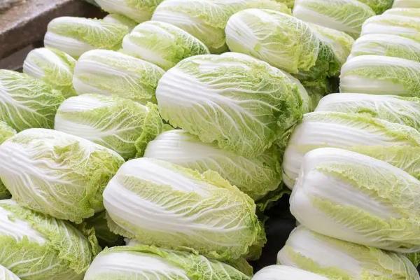 春天几月开始翻地,春天适合种植哪些蔬菜