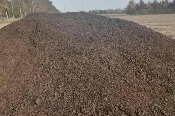 黄土能种菜吗,黄土和黑土哪个更肥