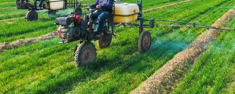 现在小麦打除草剂晚不晚，小麦打除草剂的最佳温度和时间