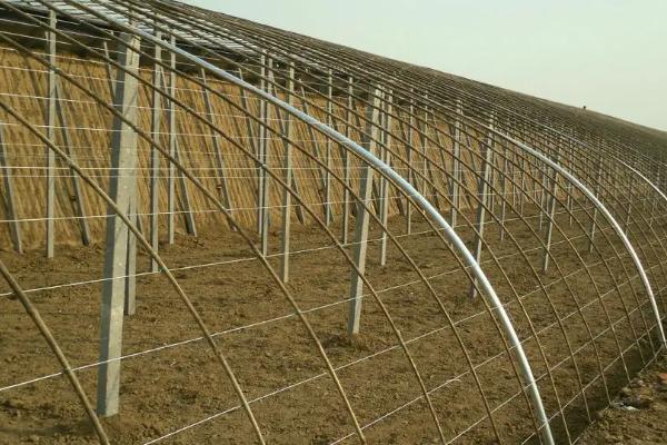 大棚分为几种,大棚怎么搭建