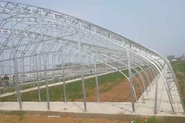 大棚分为几种,大棚怎么搭建