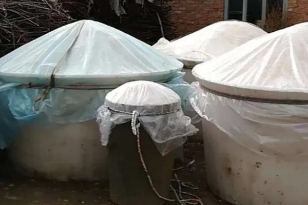 豆腐渣怎么发酵做肥料,适合什么蔬菜使用