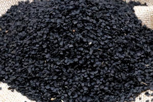 种一亩小葱用多少斤籽,附小葱的种植方法