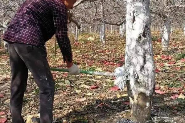 开春清园打什么药,冬季清园的时间是什么时候