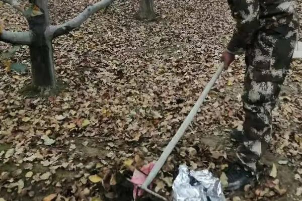 开春清园打什么药,冬季清园的时间是什么时候