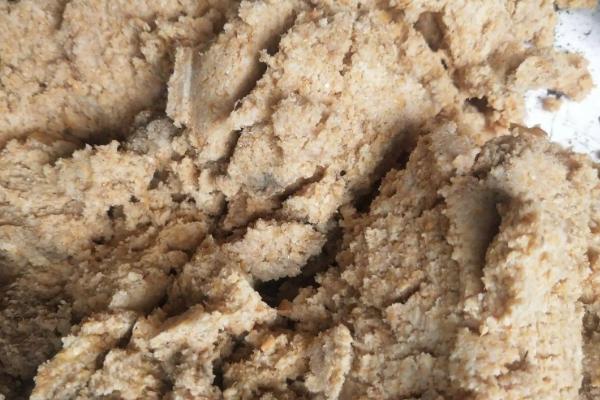 豆腐渣怎么发酵做肥料,适合什么蔬菜使用