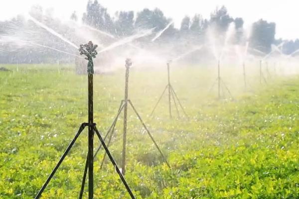 农业类型有哪些,农业类型和农业地域类型的区别