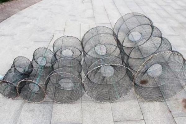 春天用花篮怎样捕鲫鱼，鲫鱼喜欢生活在哪个水层