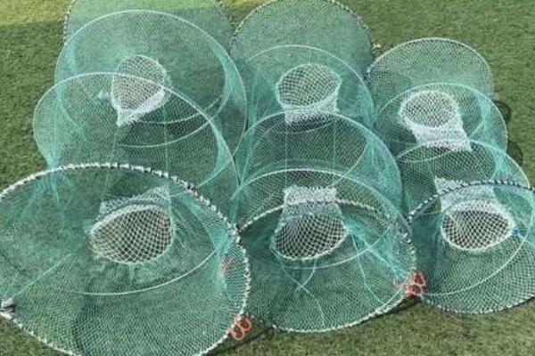 春天用花篮怎样捕鲫鱼，鲫鱼喜欢生活在哪个水层