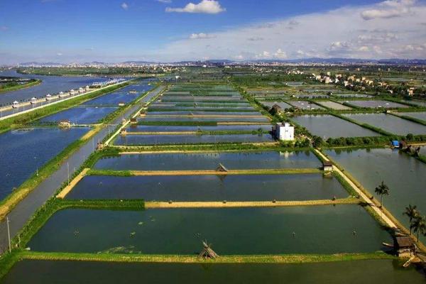 脆皖鱼的养殖方法