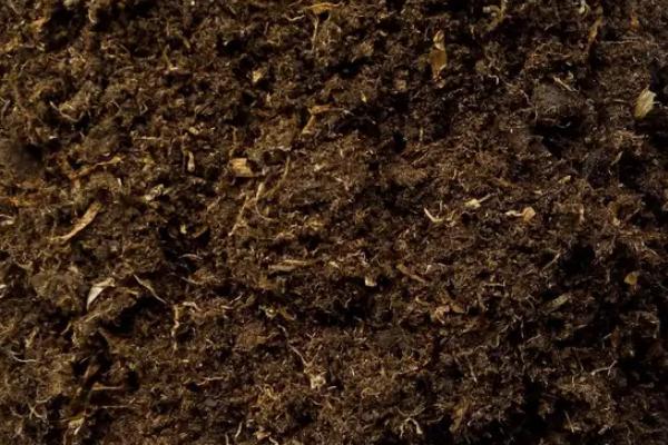 基质土的配制方法,基质土和营养土的区别