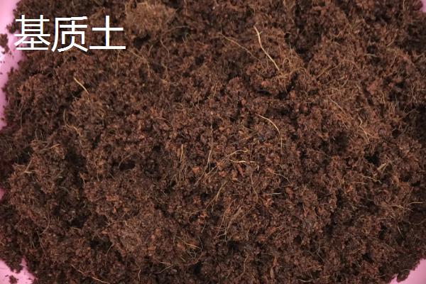 基质土的配制方法,基质土和营养土的区别