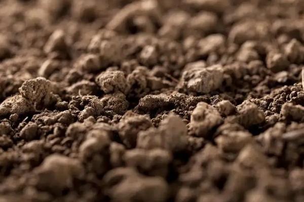 哪种氮肥最易引起土壤板结,土壤板结如何快速改良