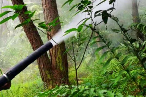 林业有害生物防治,林业是农业的一种吗