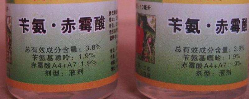 苄氨赤霉酸最佳使用方法，附使用注意事项