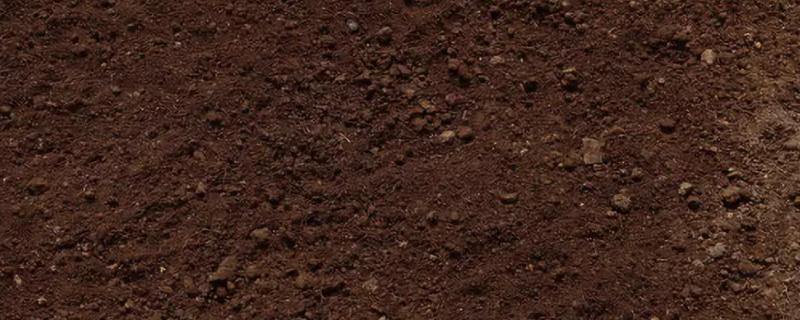 怎样判断土壤中含有腐殖质,腐殖质是如何形成的