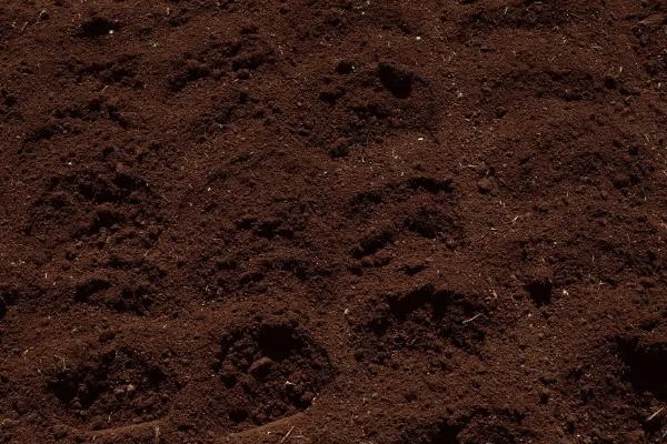 怎样判断土壤中含有腐殖质,腐殖质是如何形成的