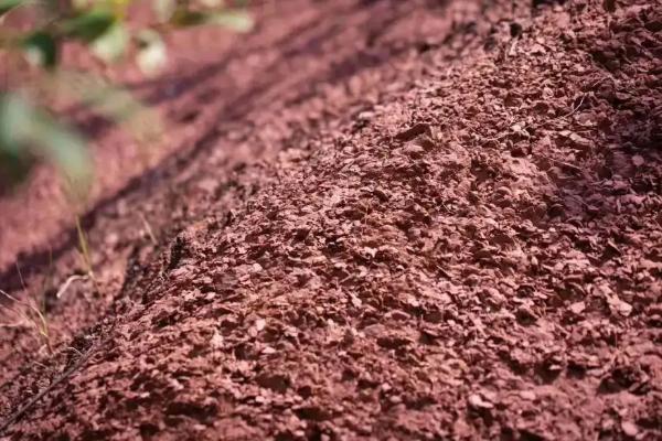 怎样判断土壤中含有腐殖质,腐殖质是如何形成的